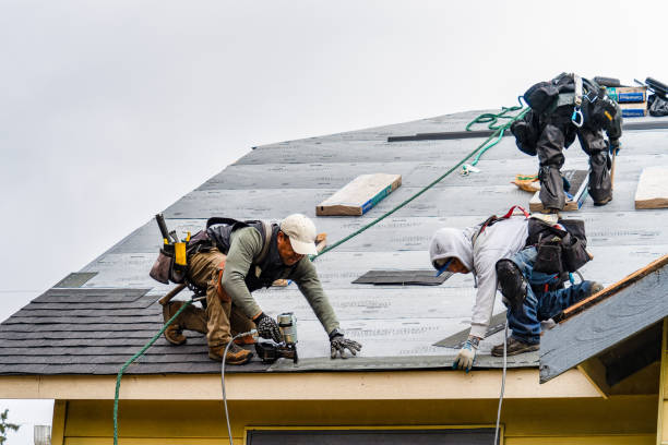 Professional Emergency Roof Repair technician working in Leonardo, NJ